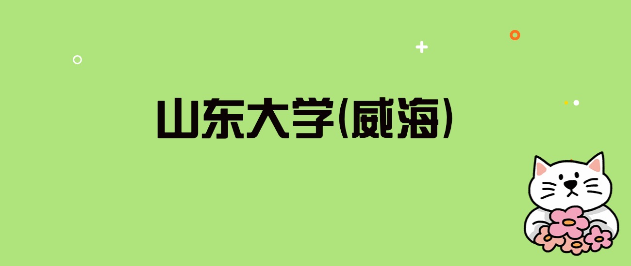 2024年山东大学(威海)录取分数线是多少？看全国29省的最低分