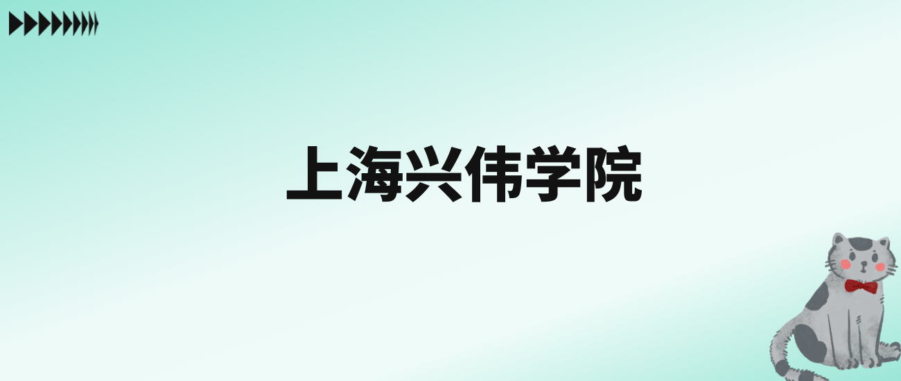 张雪峰评价上海兴伟学院：王牌专业是国际商务