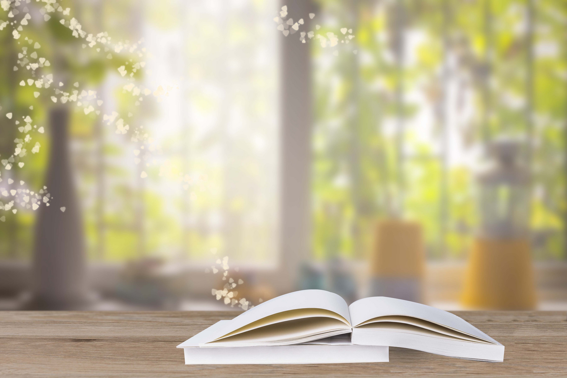 2024年青岛农业大学在广东计划招生人数（附学费及专业录取分）