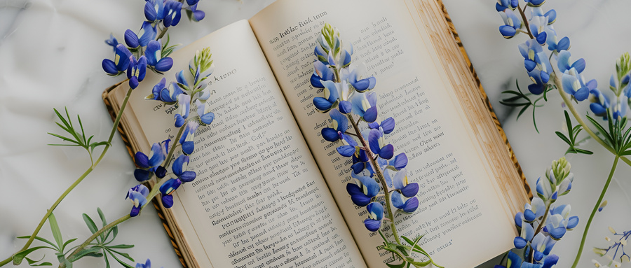 张雪峰评价皖江工学院：王牌专业是计算机科学与技术