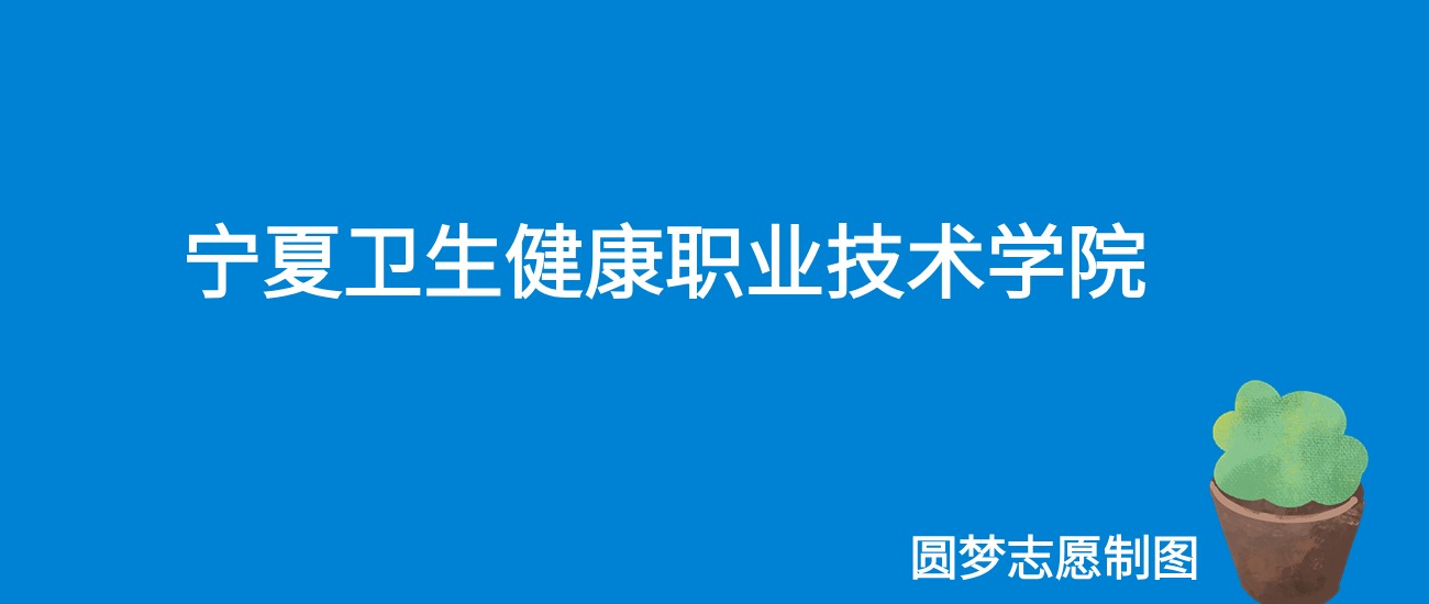 2024宁夏卫生健康职业技术学院录取分数线（全国各省最低分及位次）