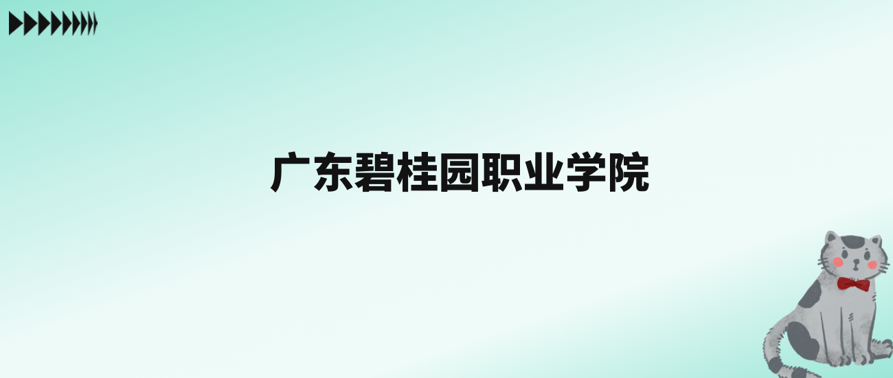 张雪峰评价广东碧桂园职业学院：王牌专业是软件技术
