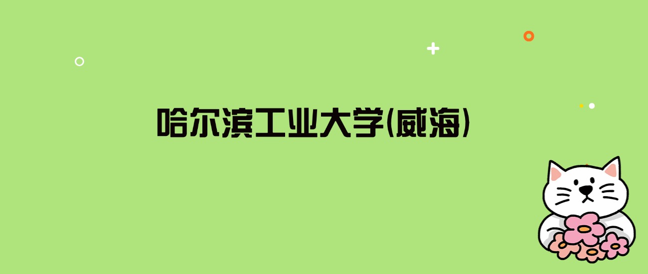 2024年哈尔滨工业大学(威海)录取分数线是多少？看29省最低分
