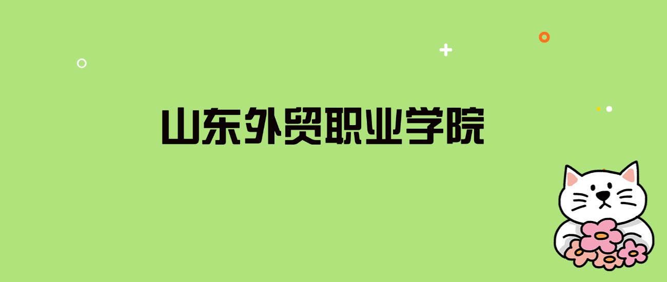 2024年山东外贸职业学院录取分数线是多少？看全国10省的最低分