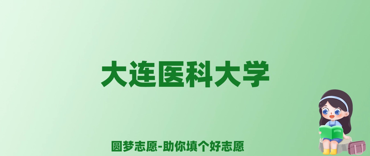 张雪峰谈大连医科大学：和211的差距对比、热门专业推荐