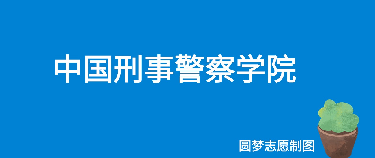 2024中国刑事警察学院录取分数线（全国各省最低分及位次）