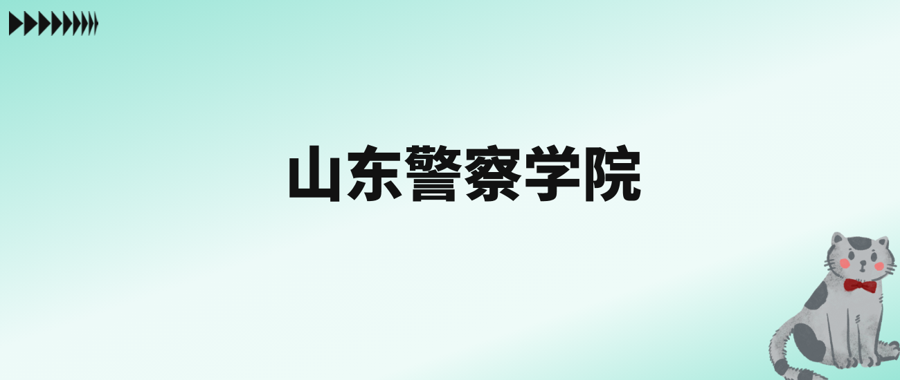张雪峰评价山东警察学院：看全国排名