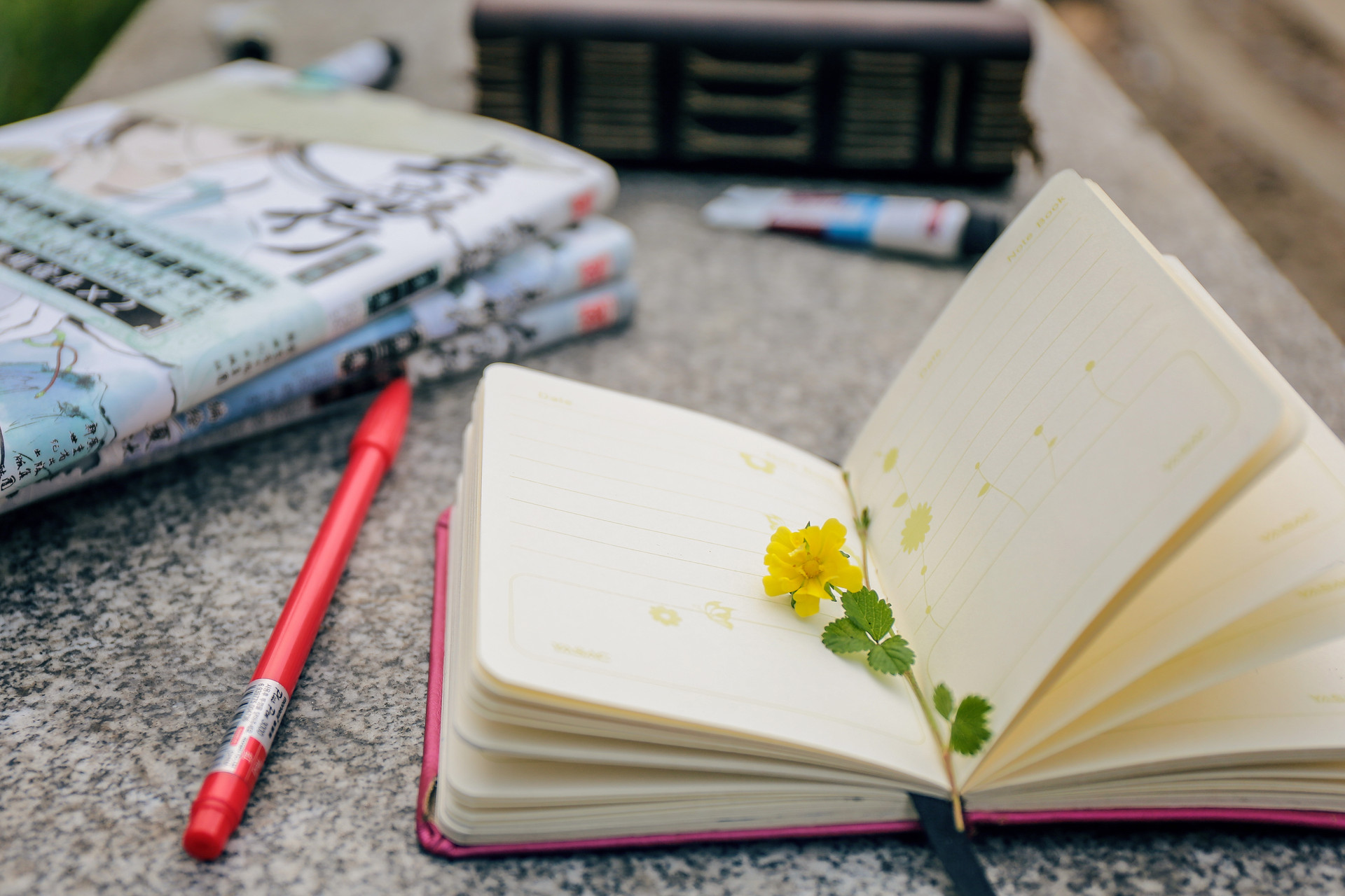 编辑出版学专业重庆录取分数线：2024最低551分