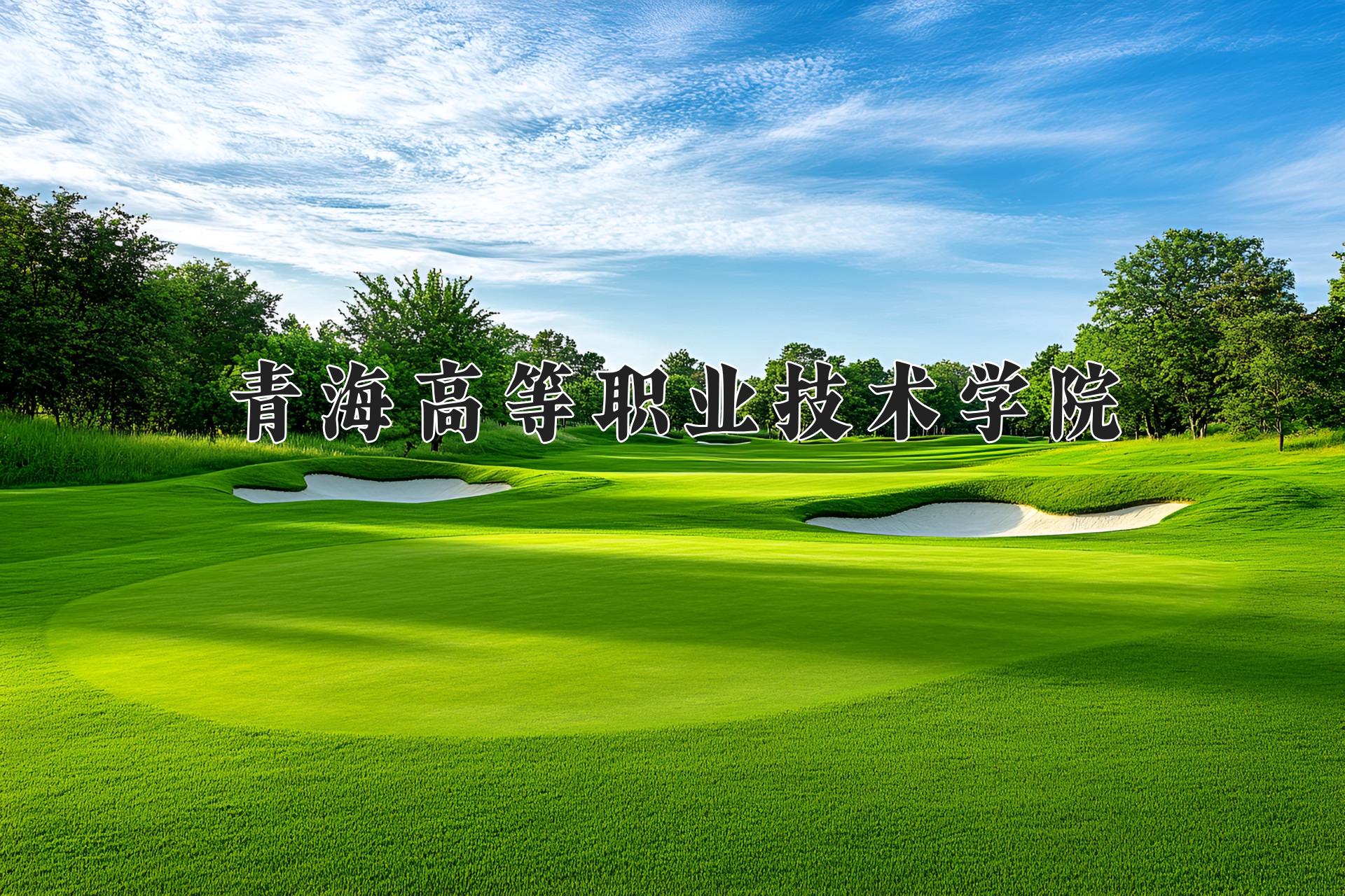 青海高等职业技术学院