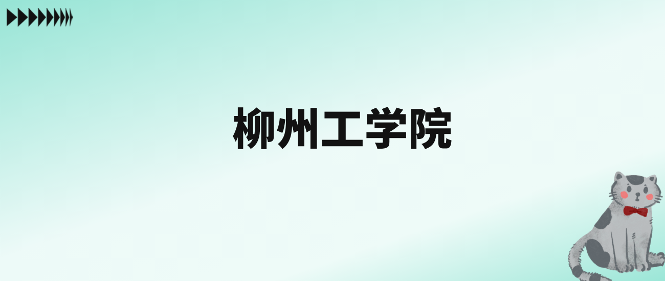 张雪峰评价柳州工学院：王牌专业是财务管理