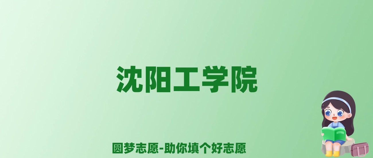 张雪峰谈沈阳工学院：和公办本科的差距对比、热门专业推荐