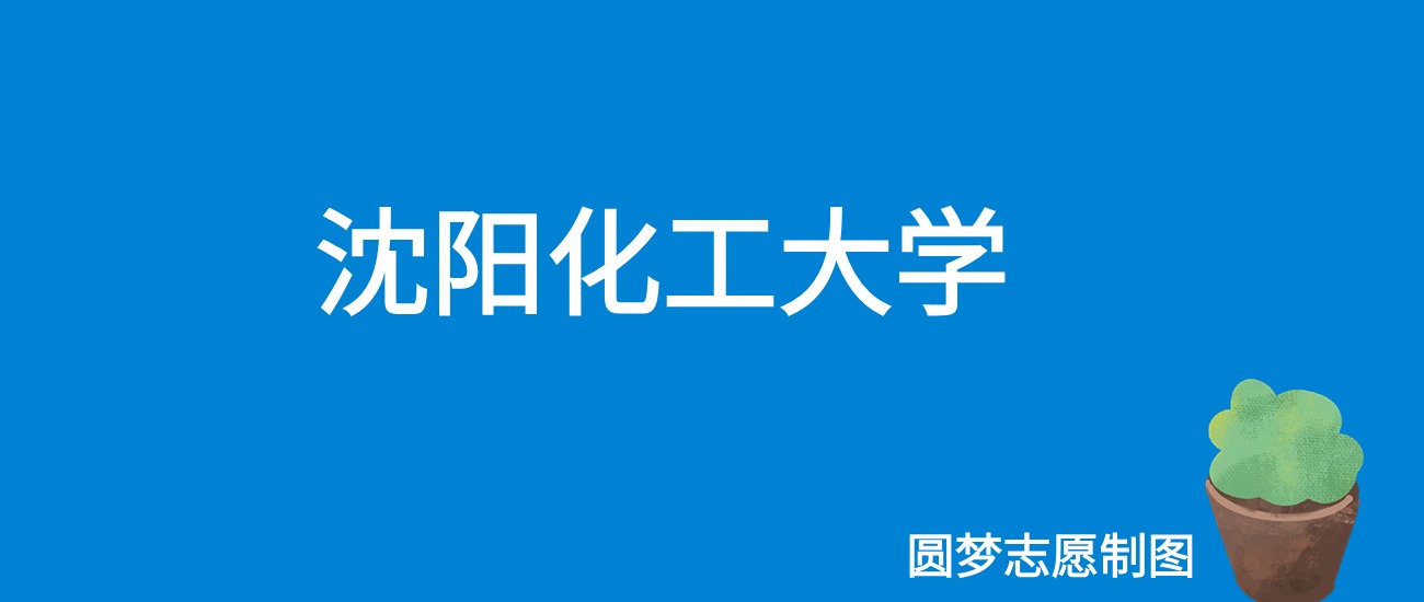 2024沈阳化工大学录取分数线（全国各省最低分及位次）
