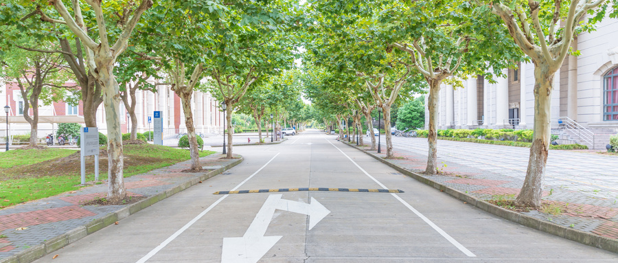 张雪峰谈林业类最吃香的专业！附各大学2024年分数线