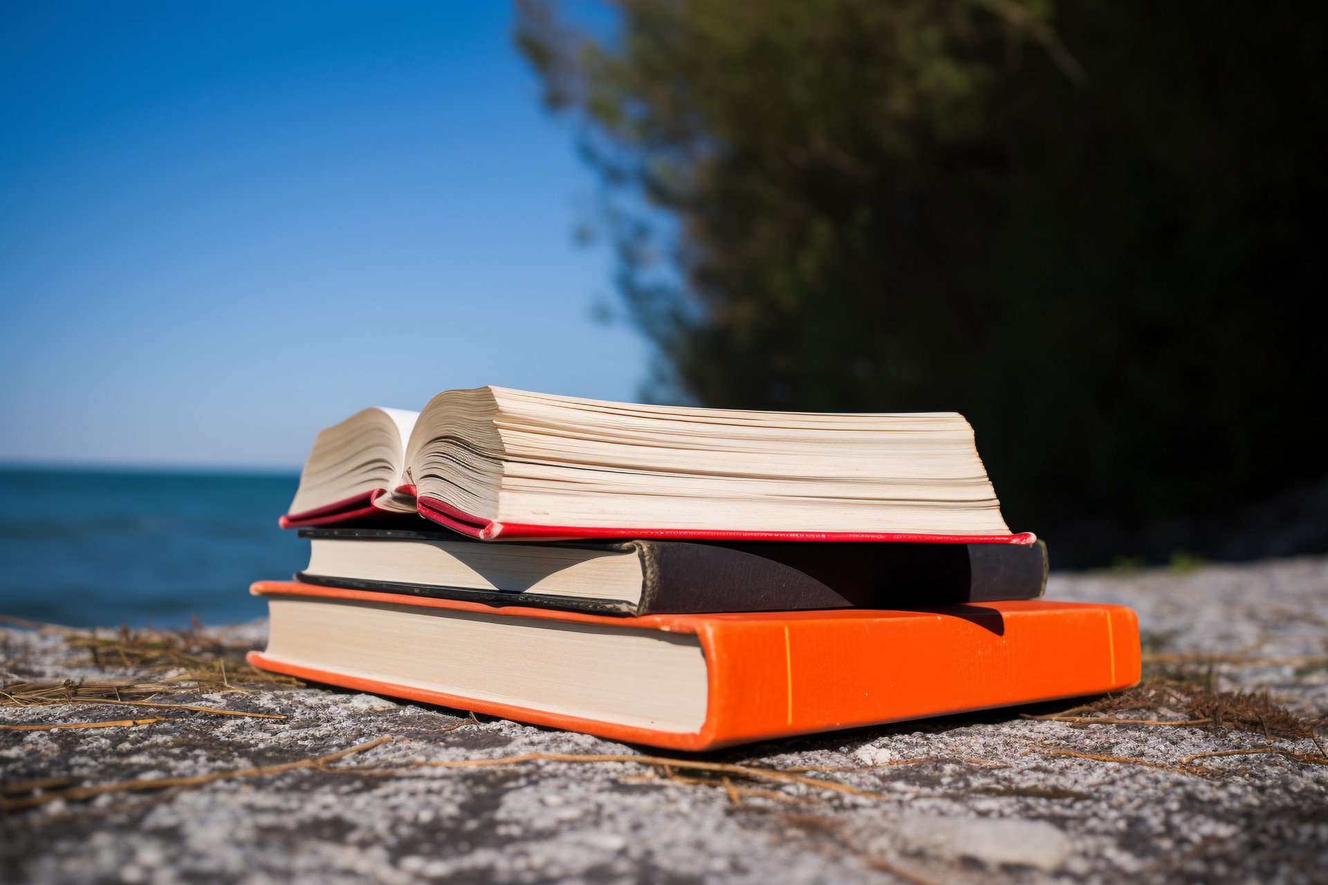 2024年太原幼儿师范高等专科学校在广东计划招生人数（附学费及专业录取分）