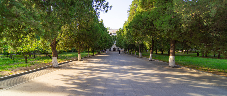 专科大学有哪些学校？附2024最低录取分数线汇总