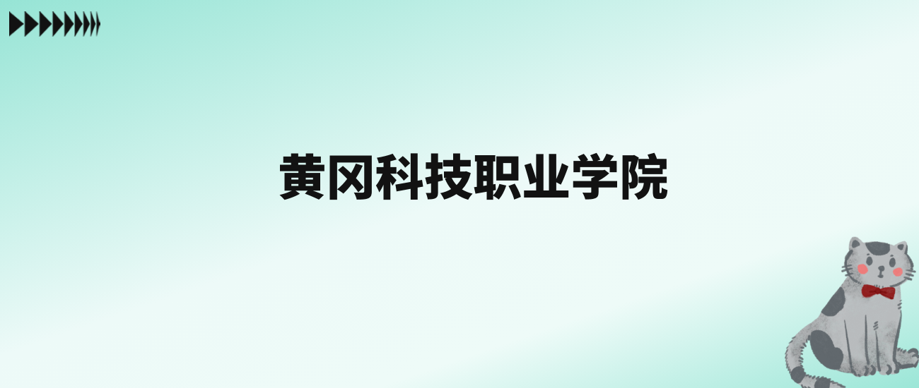 张雪峰评价黄冈科技职业学院：王牌专业是医学检验技术