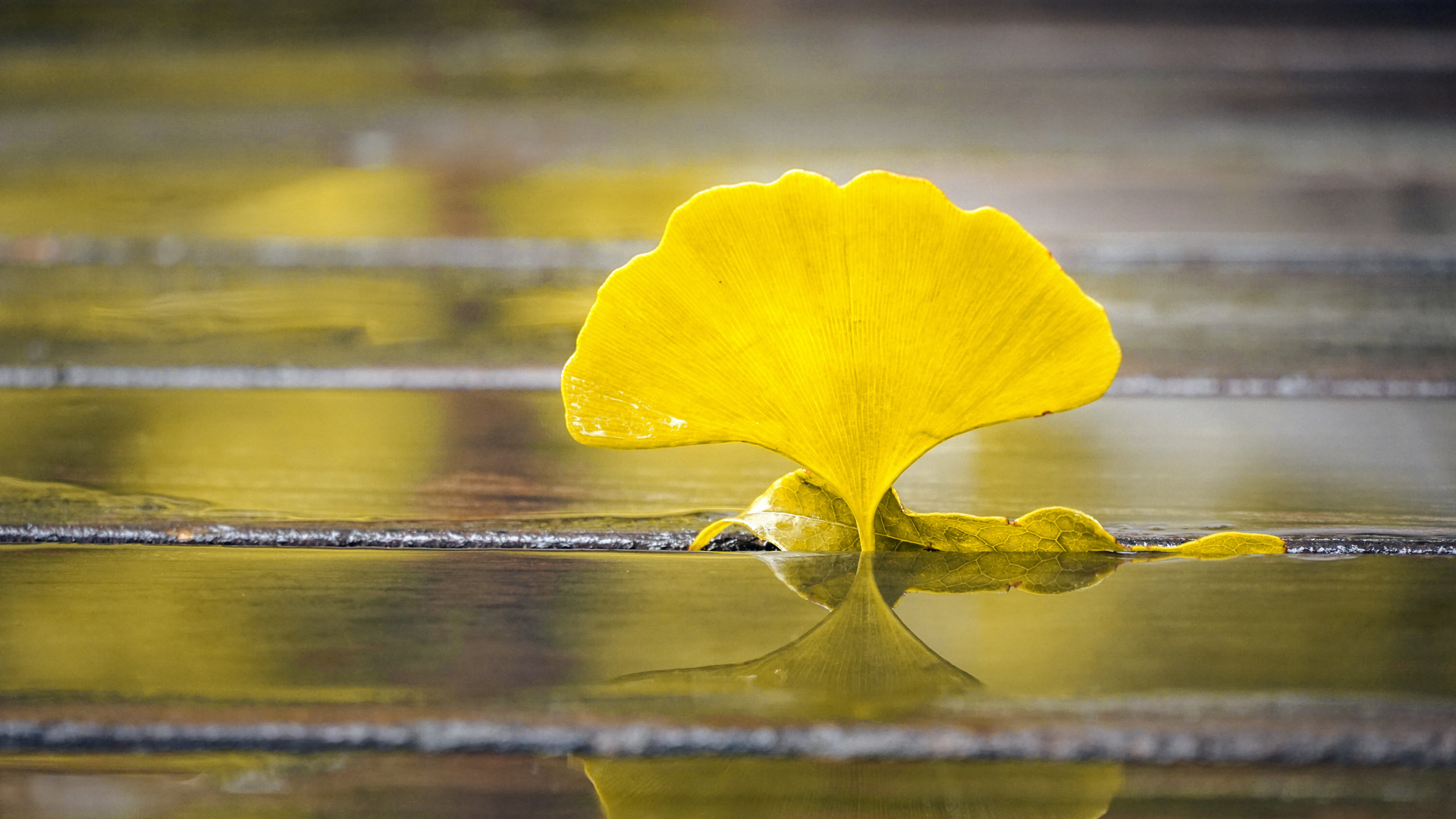 2024重庆公共运输职业学院录取分数线：最低233分（含各专业录取最低分）