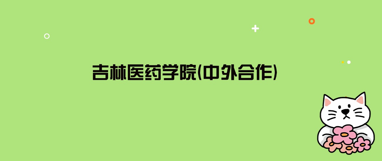 2024年吉林医药学院(中外合作)录取分数线是多少？看7省最低分