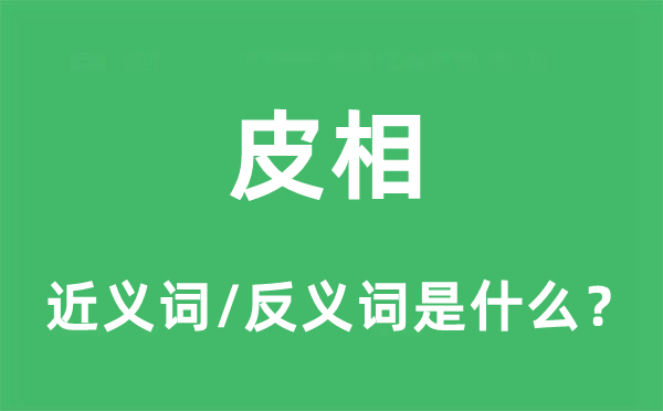皮相的近义词和反义词是什么,皮相是什么意思