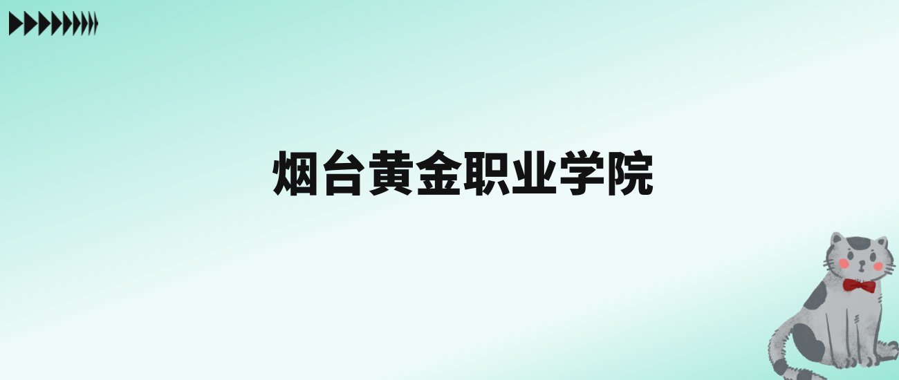张雪峰评价烟台黄金职业学院：王牌专业是机电一体化技术