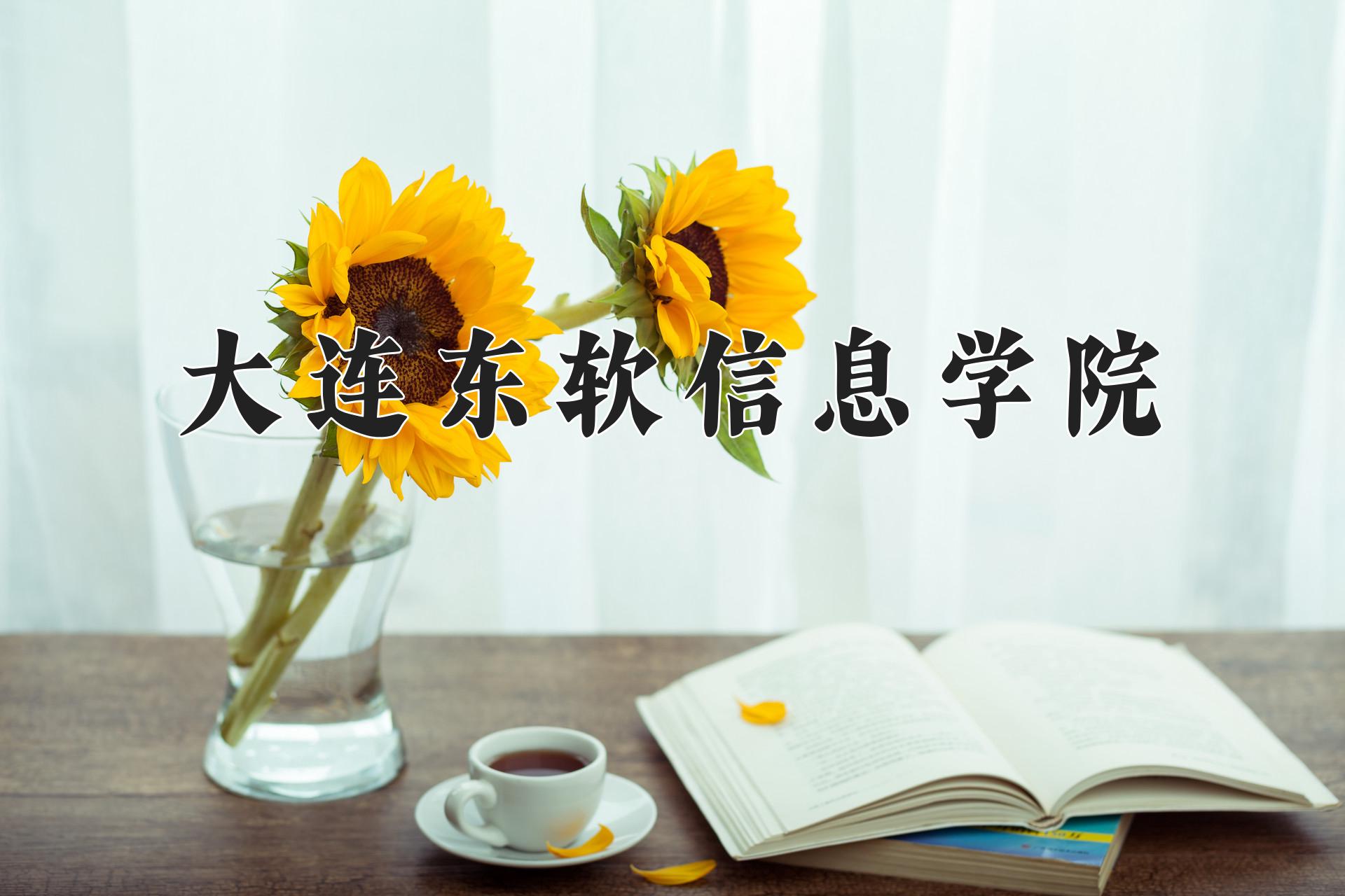 大连东软信息学院