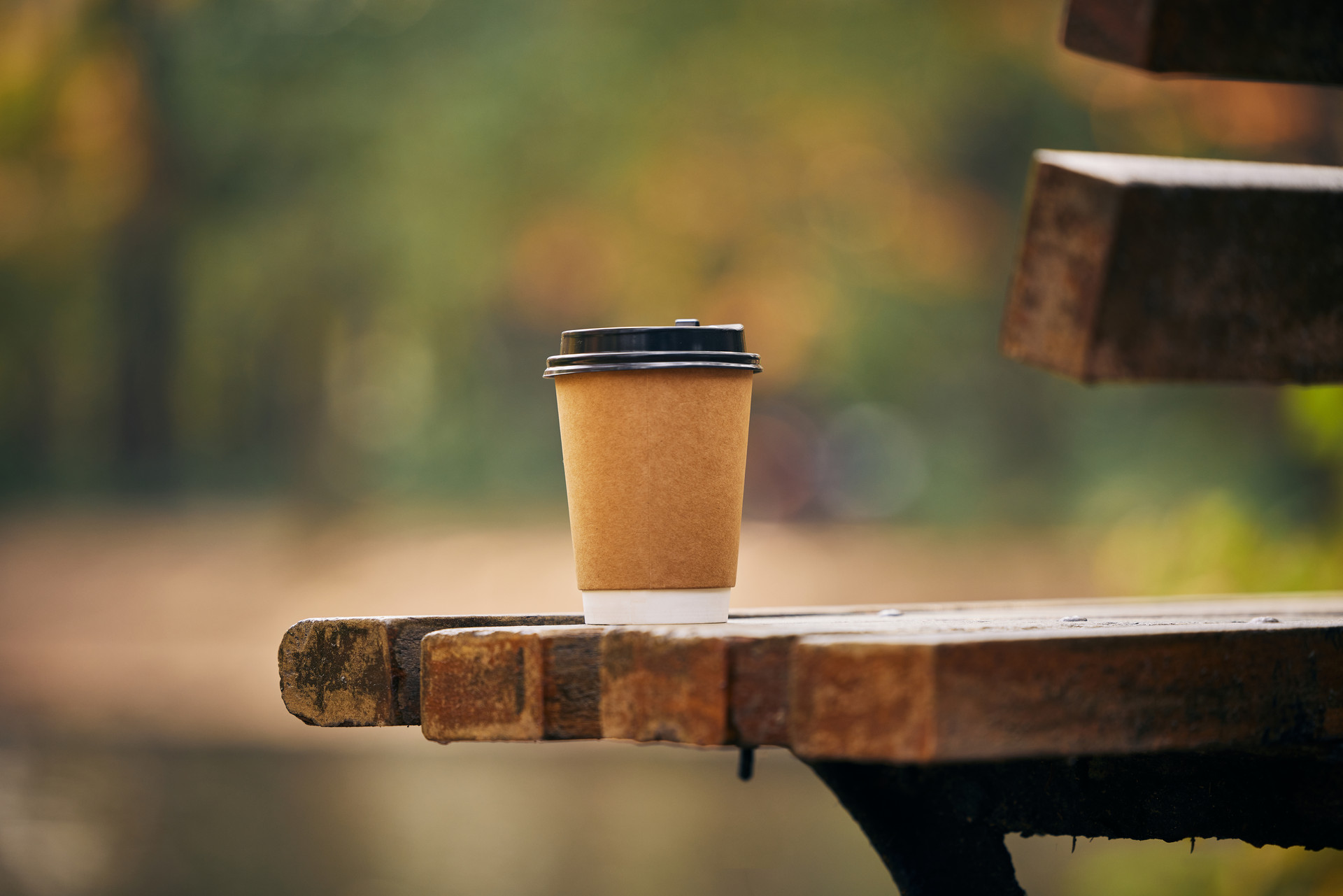 2024四川希望汽车职业学院录取分数线：最低150分（含各专业录取最低分）