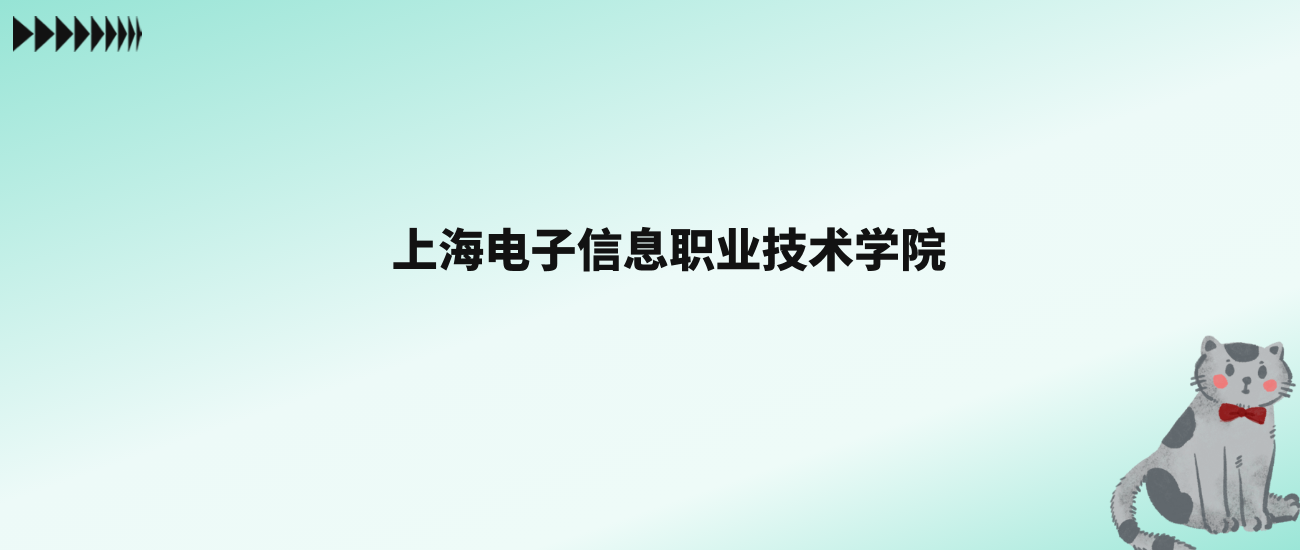 张雪峰评价上海电子信息职业技术学院：王牌专业是软件技术