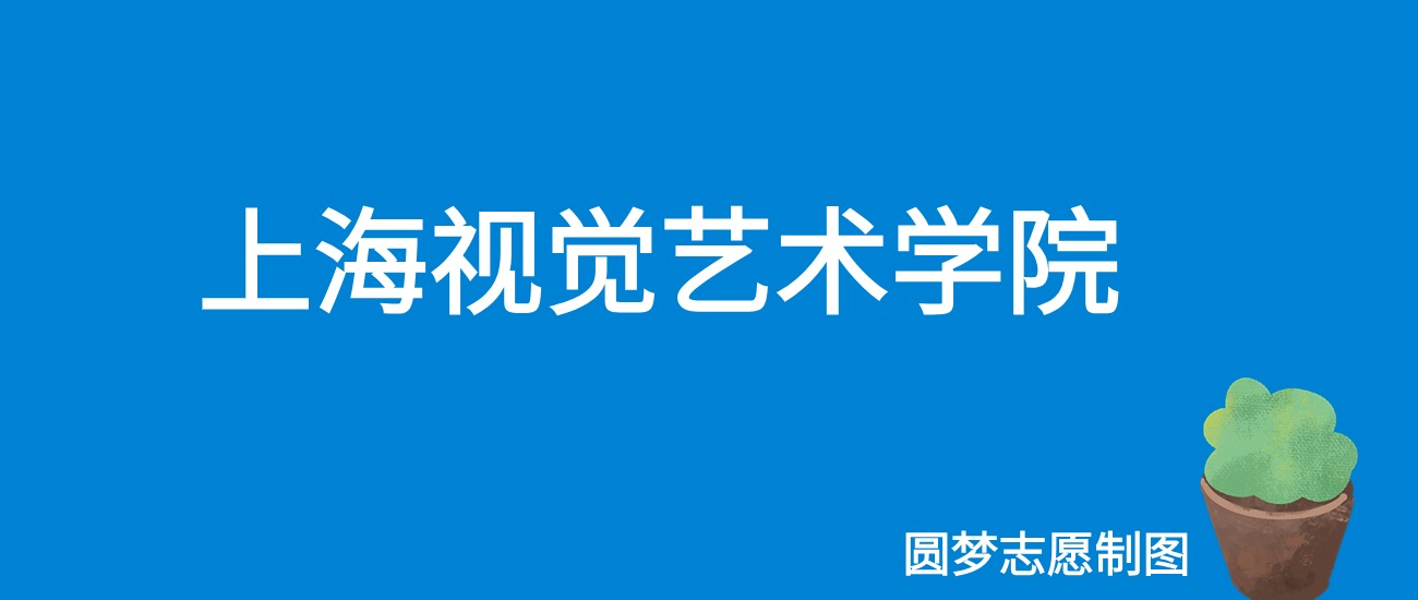 2024上海视觉艺术学院录取分数线（全国各省最低分及位次）