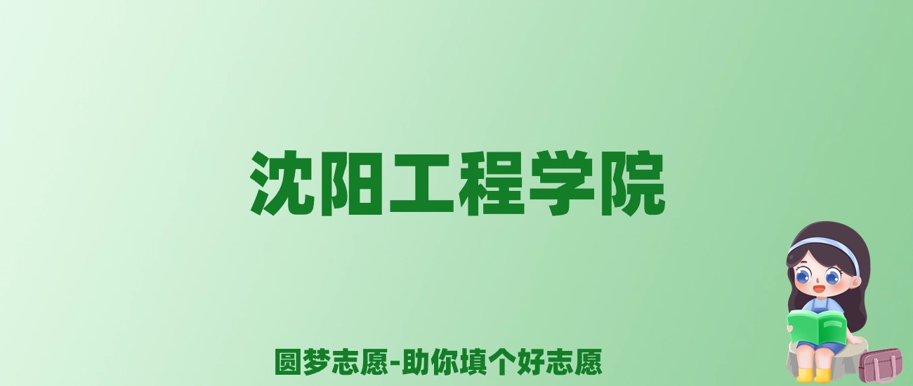张雪峰谈沈阳工程学院：和211的差距对比、热门专业推荐