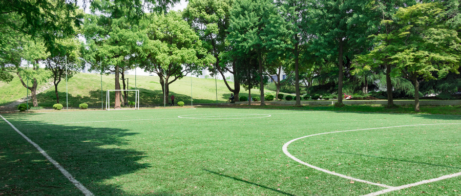 2024大学排行榜最新：国内高校排名一览表（校友会版）