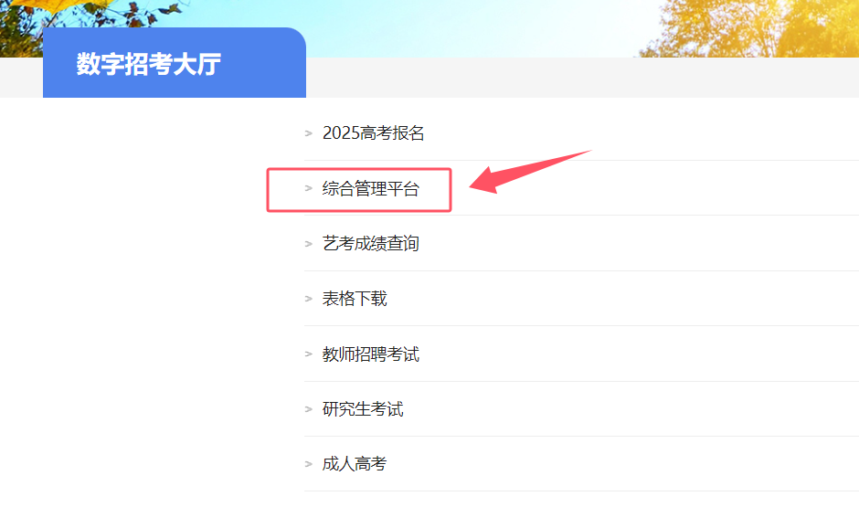 青海2025八省联考成绩查询入口官网（附操作流程）
