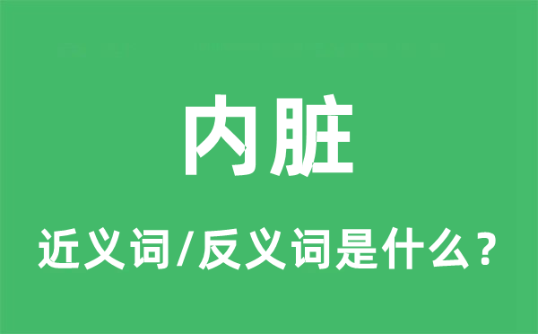 内脏的近义词和反义词是什么,内脏是什么意思