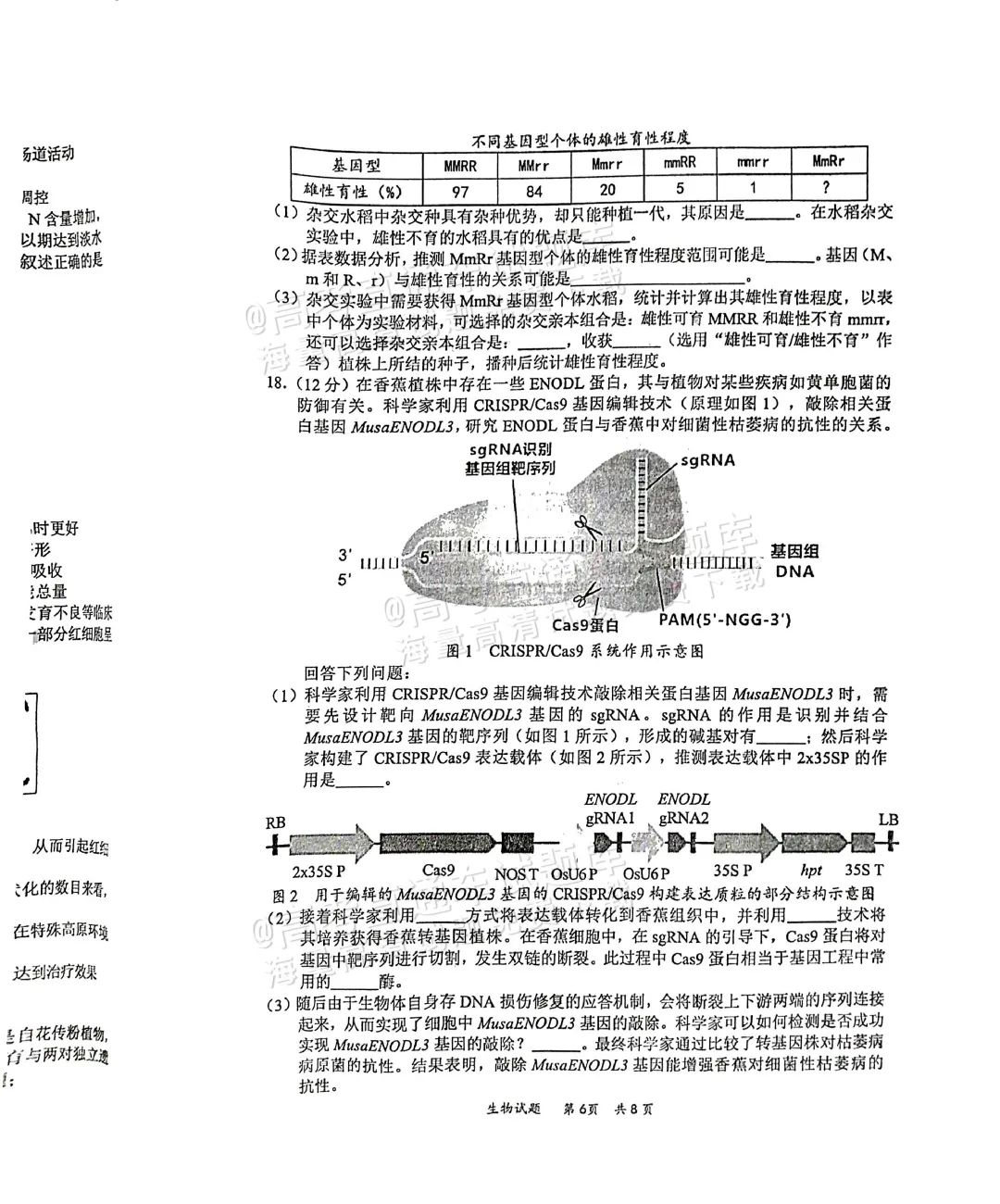 2025届高三惠州二调分数划线出炉！附各科试题及答案汇总