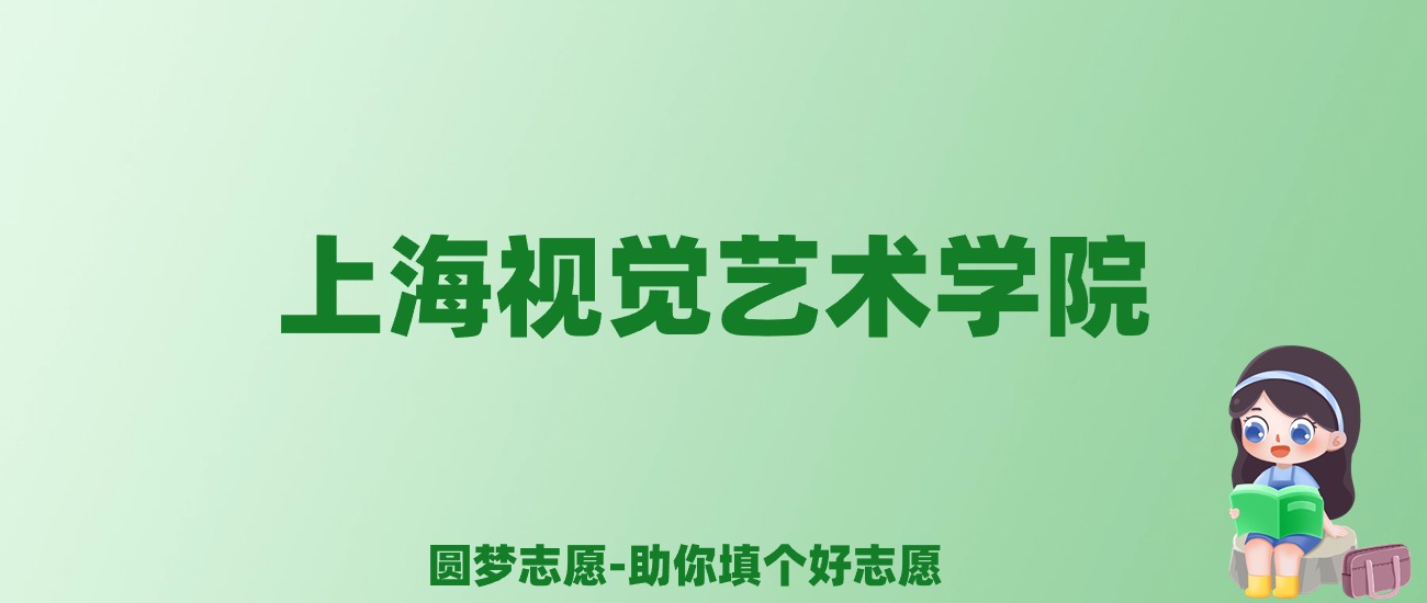 张雪峰谈上海视觉艺术学院：和公办本科的差距对比、热门专业推荐