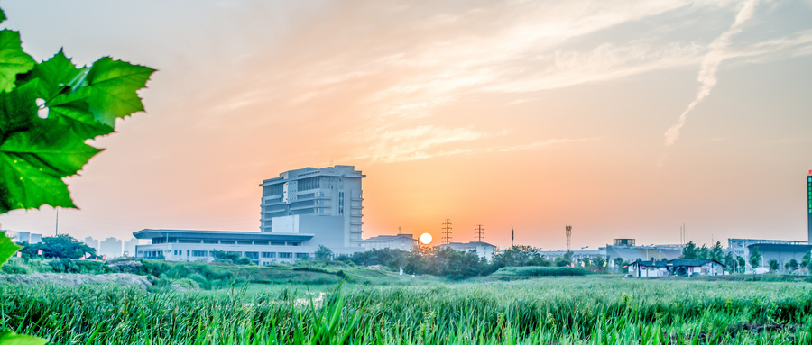 地方专项计划大学有哪些学校？附2024最低录取分数线汇总