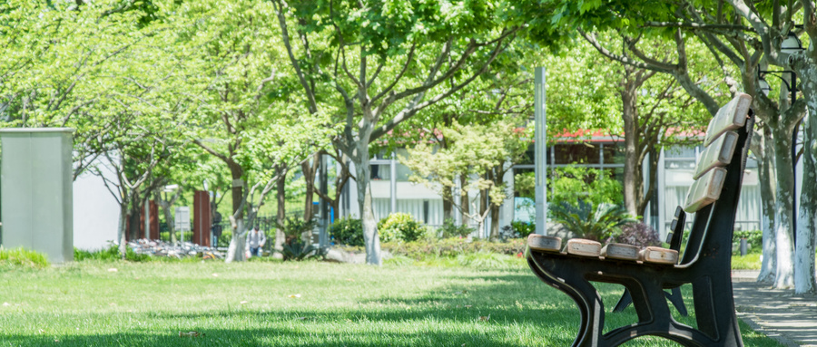 张雪峰谈林业专业就业前景！附各大学2024年分数线