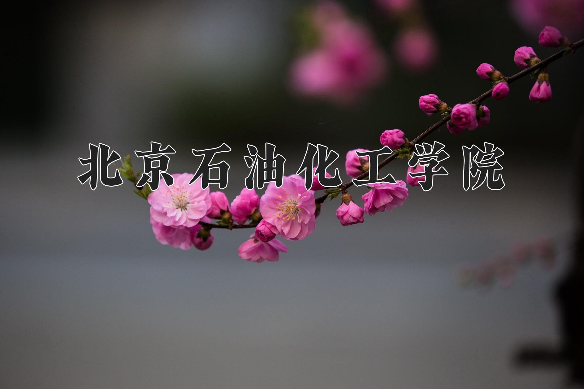 北京石油化工学院