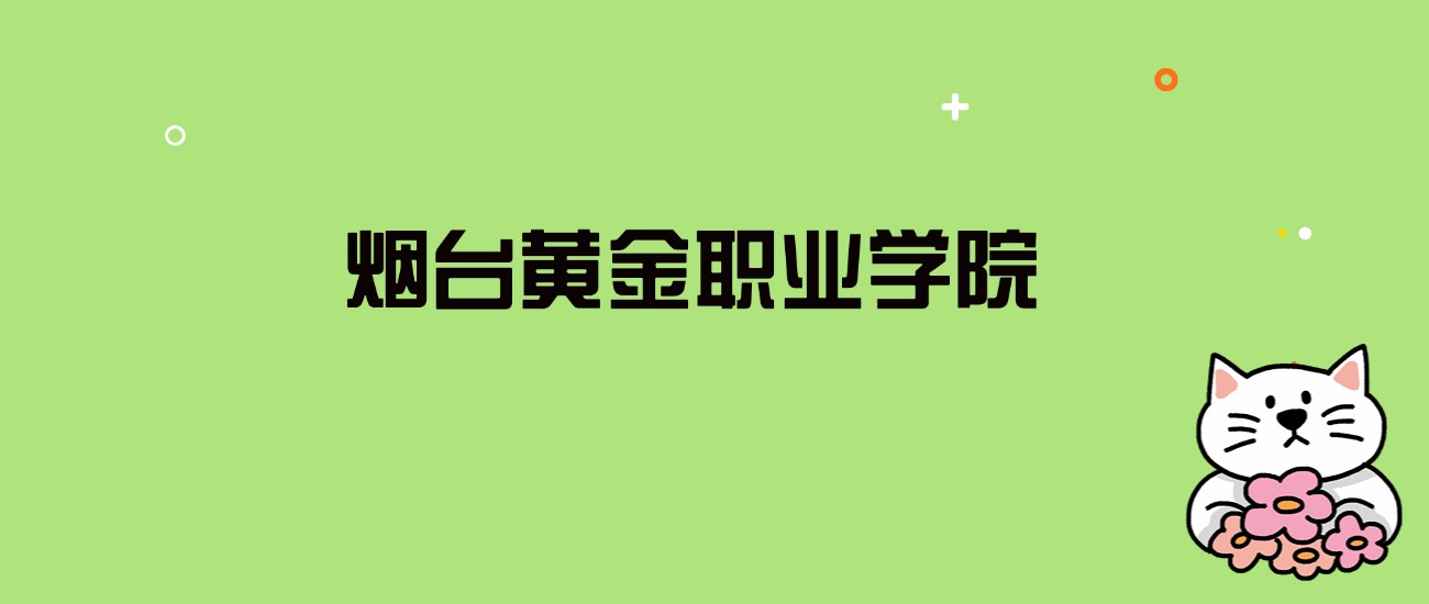 2024年烟台黄金职业学院录取分数线是多少？看全国17省的最低分