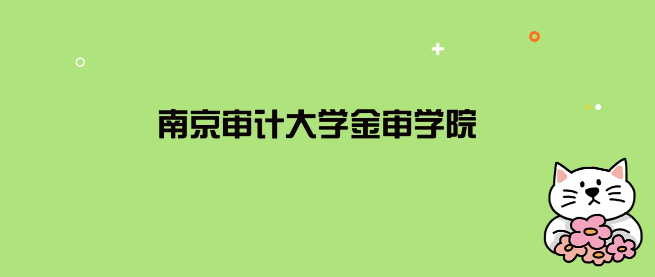 2024年南京审计大学金审学院录取分数线是多少？看全国29省的最低分