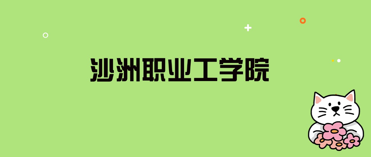2024年沙洲职业工学院录取分数线是多少？看全国5省的最低分