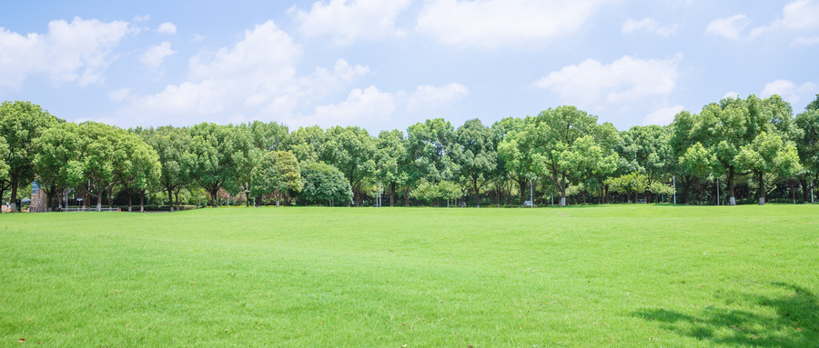 专科提前批大学名单一览表（含录取分数线，2025考生参考）