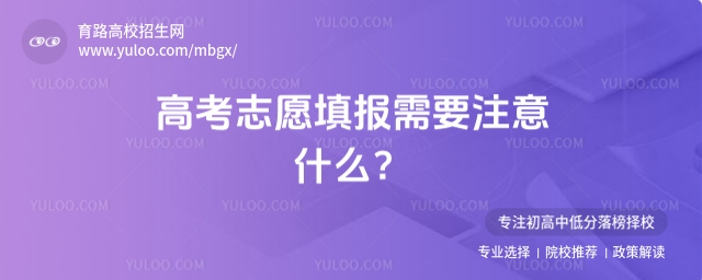 2025高考志愿填报需要注意什么？一文了解