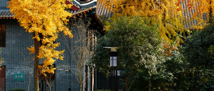 张雪峰谈四川大学：最新排名、王牌专业及录取分数线