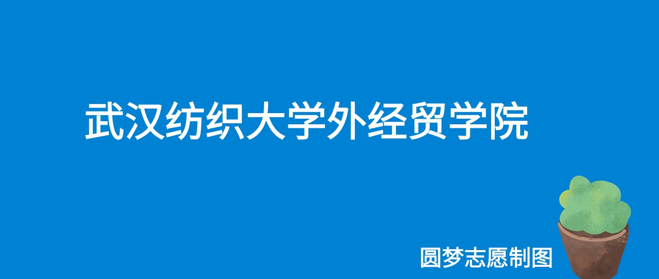 2024武汉纺织大学外经贸学院录取分数线（全国各省最低分及位次）