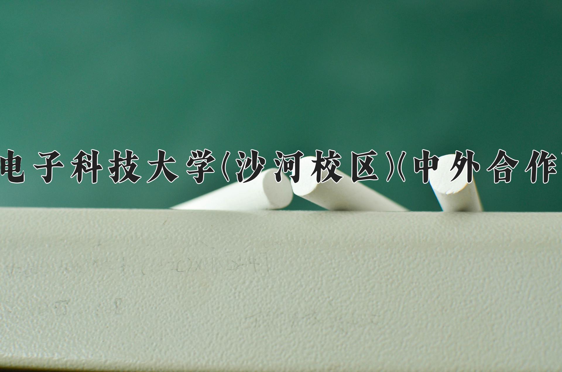 电子科技大学(沙河校区)(中外合作)