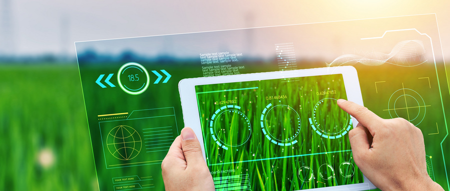 农业大学有哪些学校？附2024最低录取分数线汇总