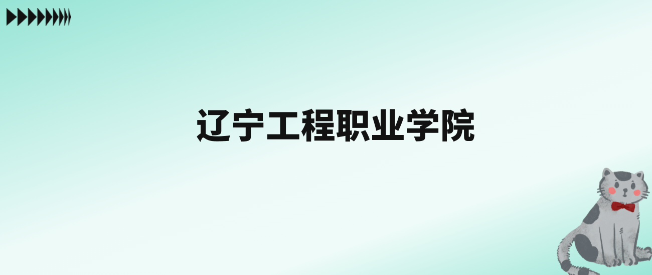 张雪峰评价辽宁工程职业学院：王牌专业是电气自动化技术
