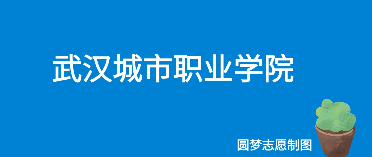 2024武汉城市职业学院录取分数线（全国各省最低分及位次）