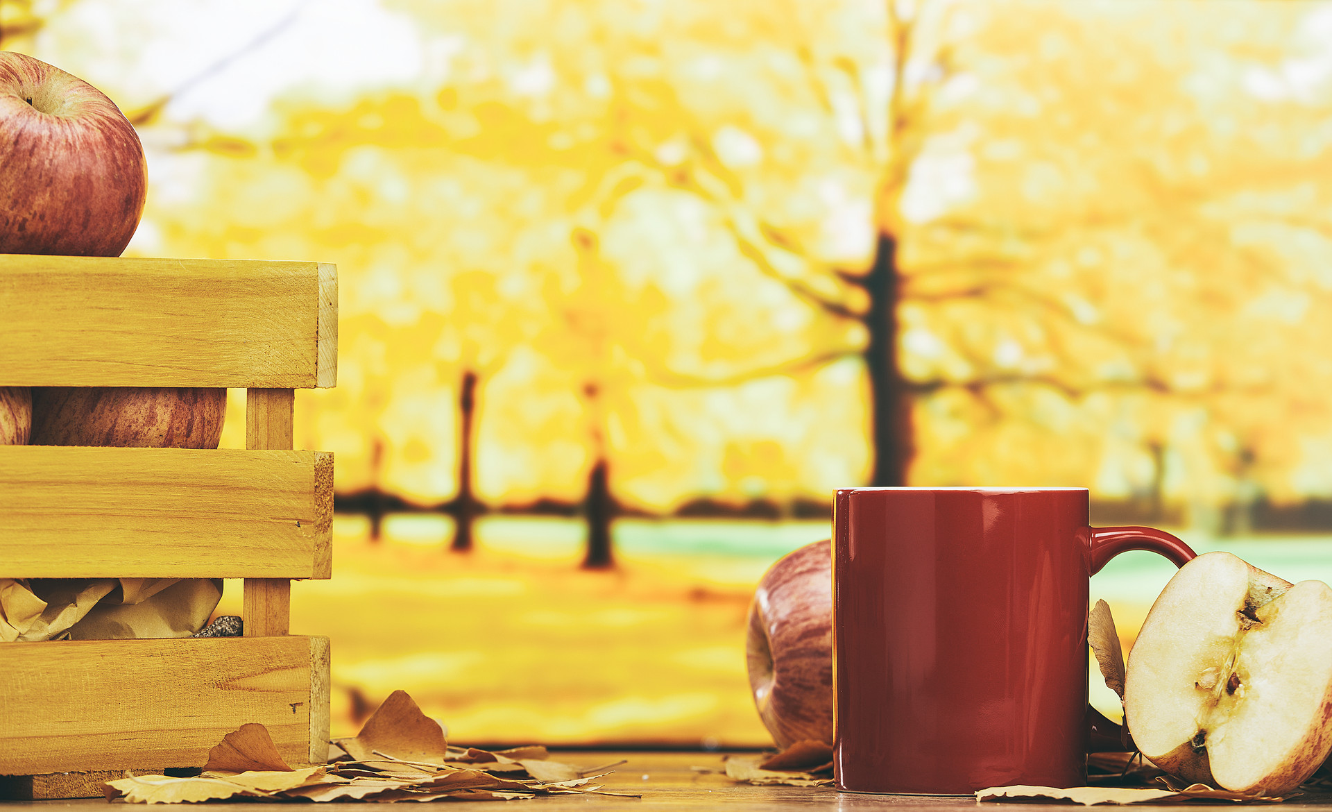 2024广西现代职业技术学院录取分数线：最低227分（含各专业录取最低分）